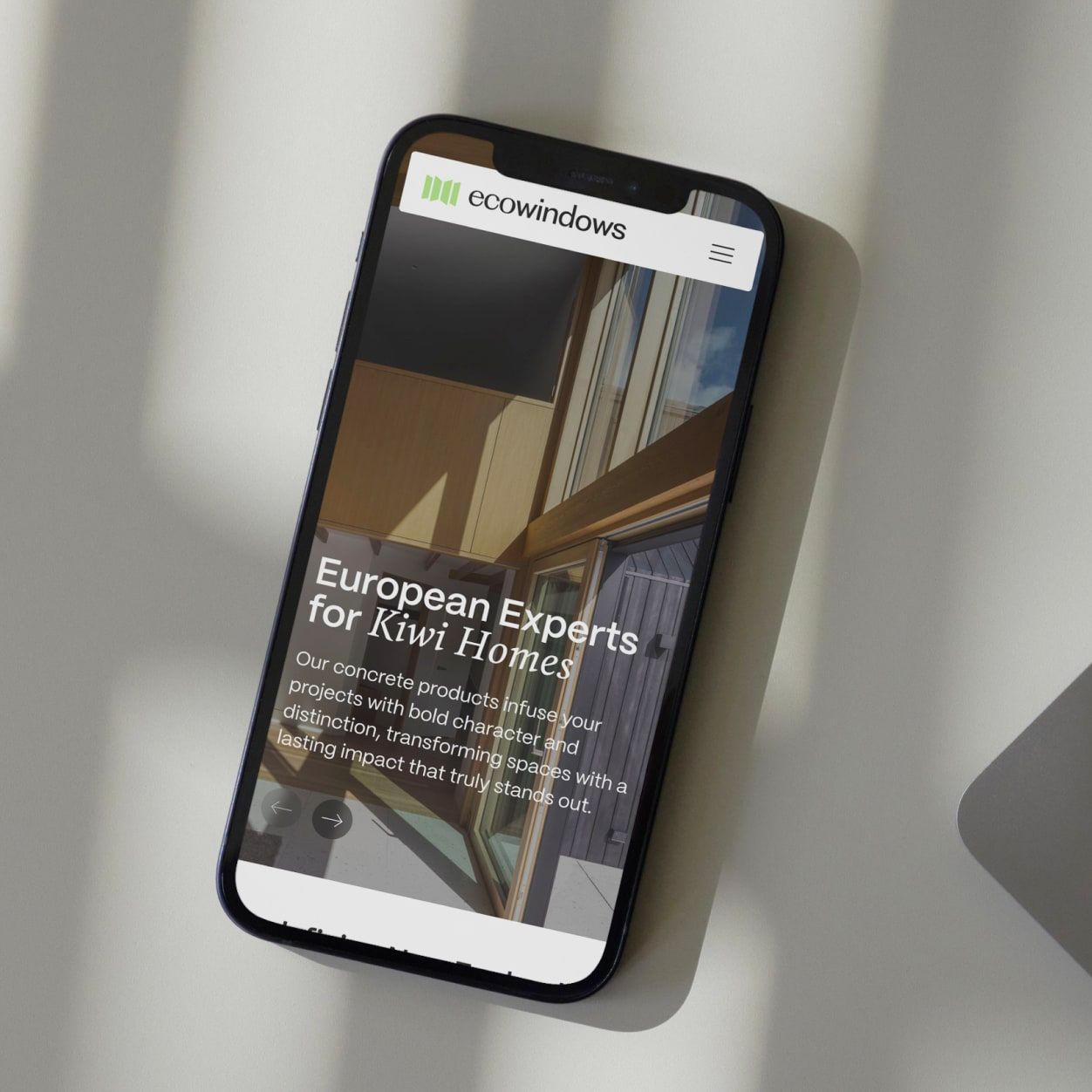 Ecowindows website design