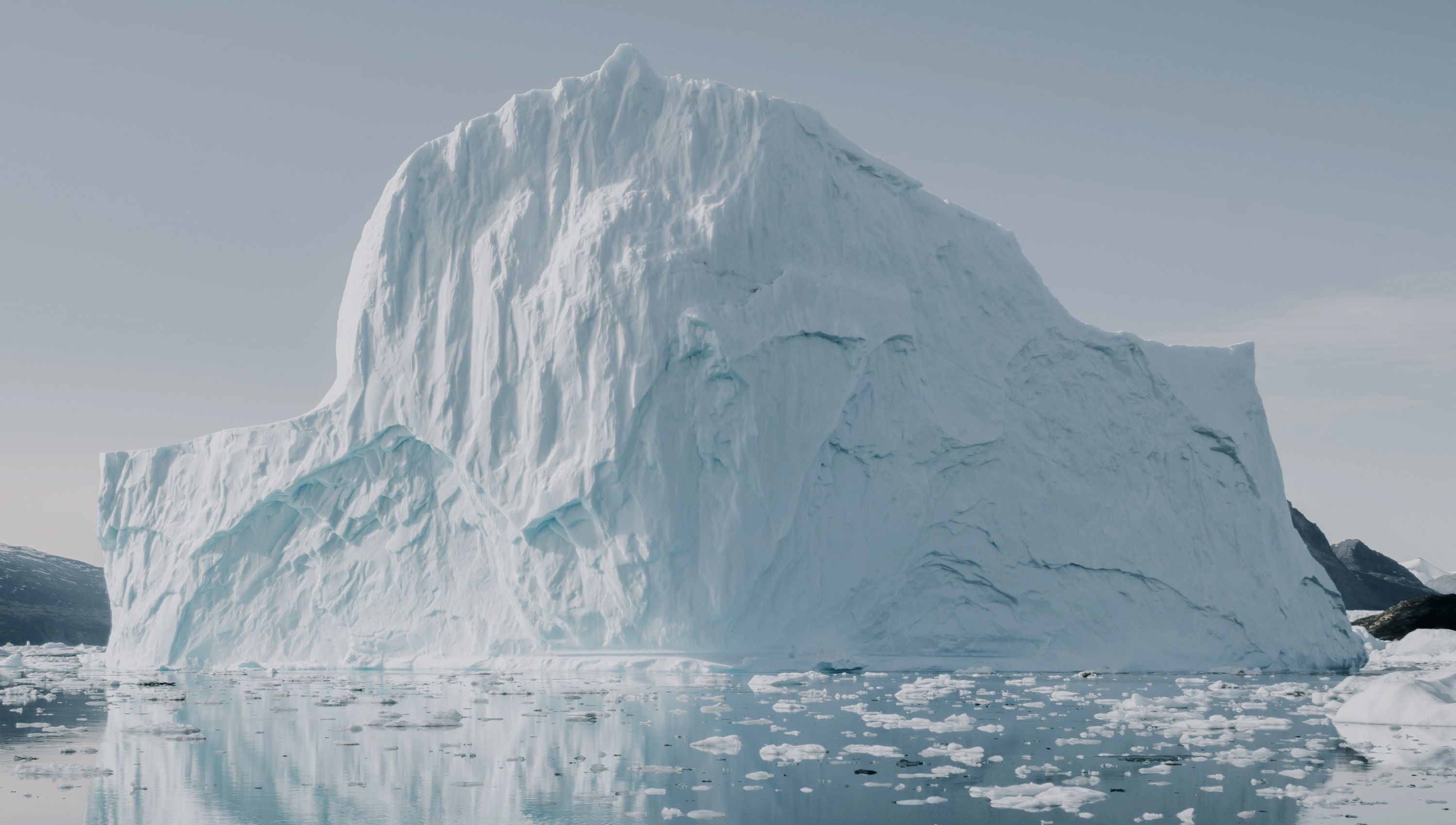 carbon revision webbplatsdesign