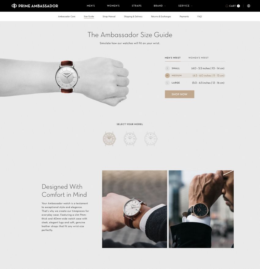 prime ambassador berättelsesida