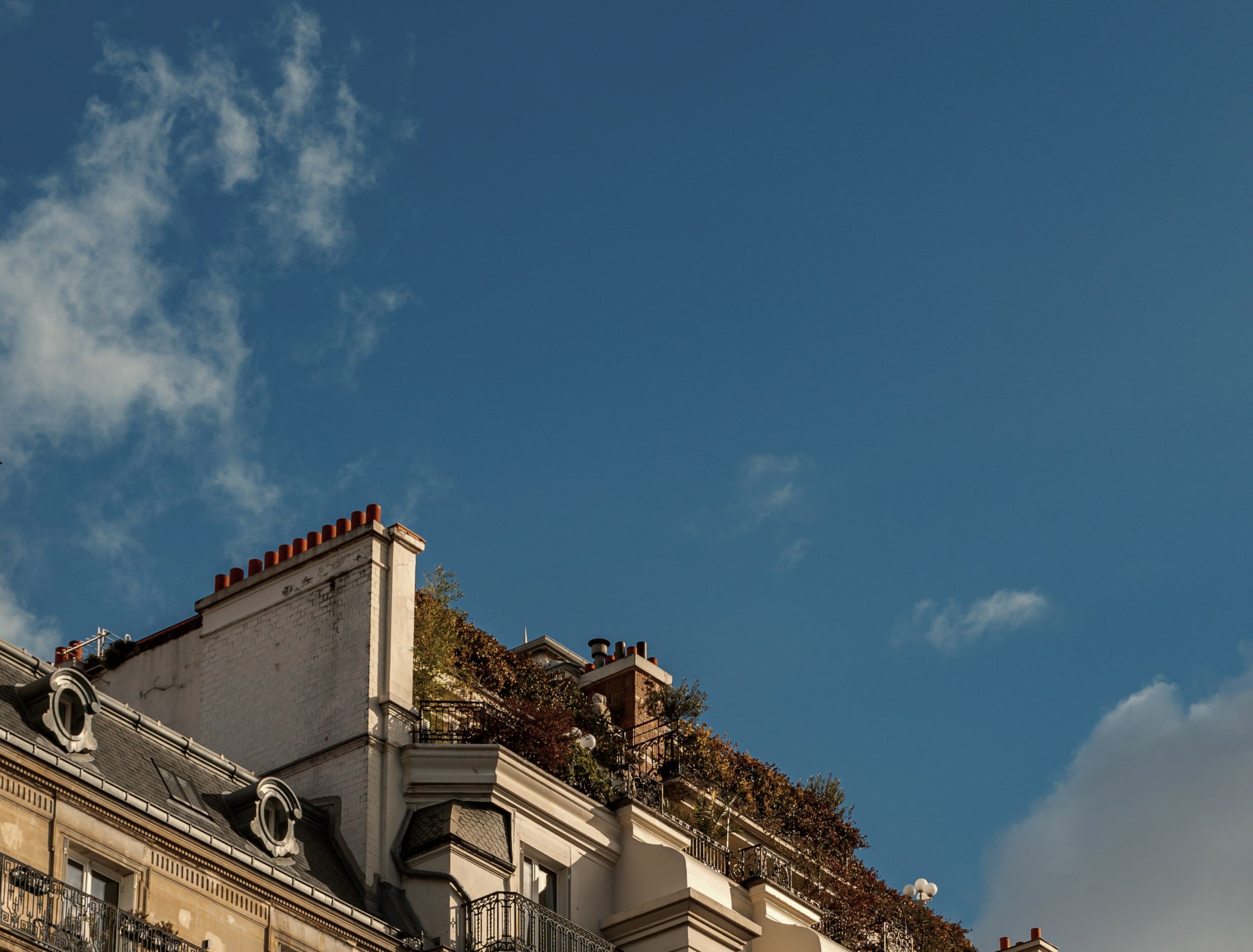 Secret Journeys website design